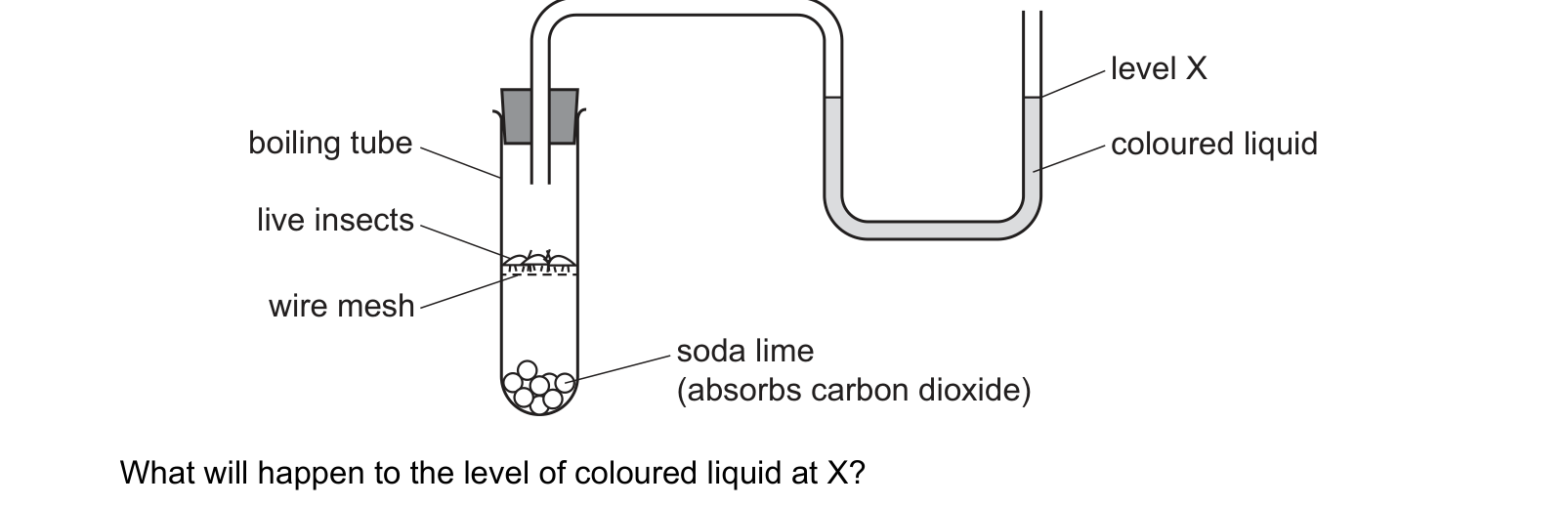 Diagram from the Cambridge Co-ordinated Sciences 0654 Paper 2 October/November 2023 paper, variant 2, question 8.