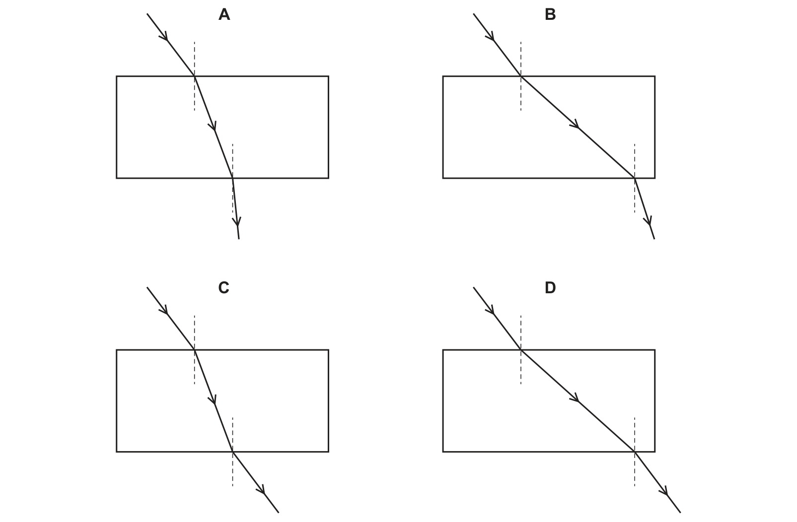Diagram from the Cambridge Co-ordinated Sciences 0654 Paper 1 October/November 2024 paper, variant 1, question 33.