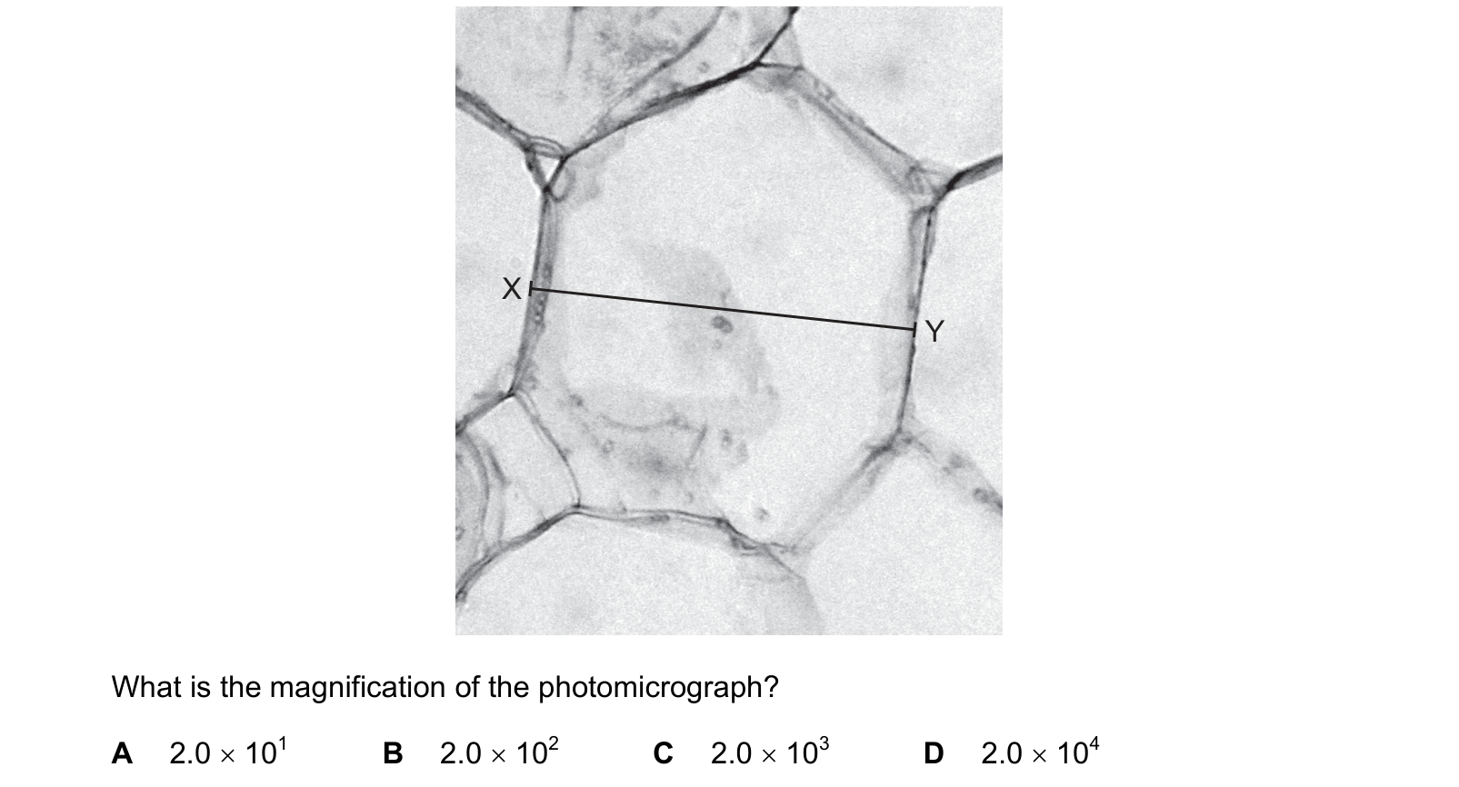 Diagram from the Cambridge Biology 9700 Paper 1 February/March 2022 paper, variant 2, question 3.
