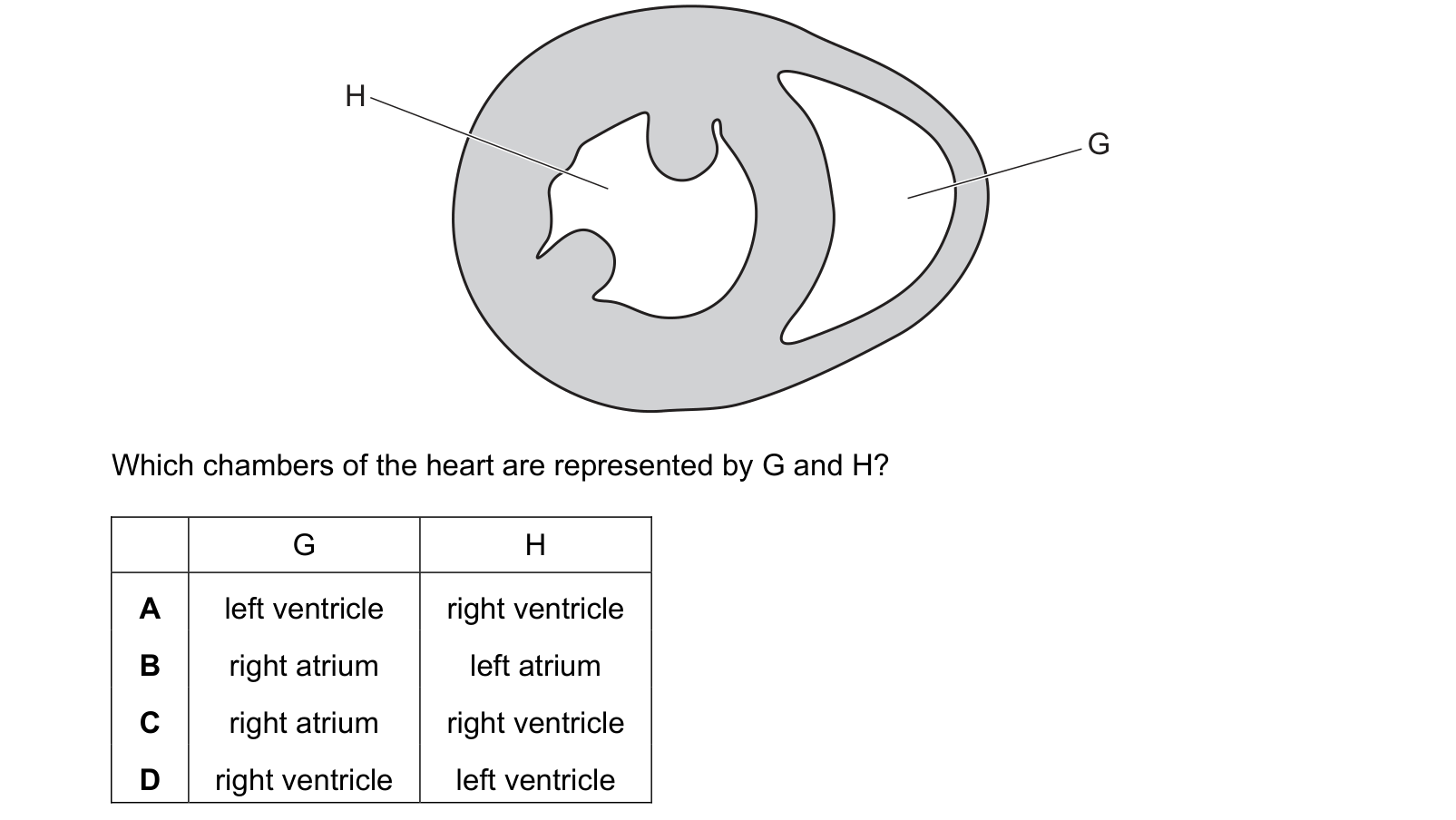 Diagram from the Cambridge Biology 9700 Paper 1 February/March 2022 paper, variant 2, question 30.