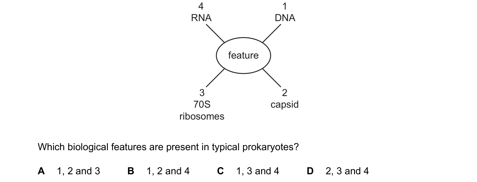 Diagram from the Cambridge Biology 9700 Paper 1 February/March 2024 paper, variant 2, question 5.