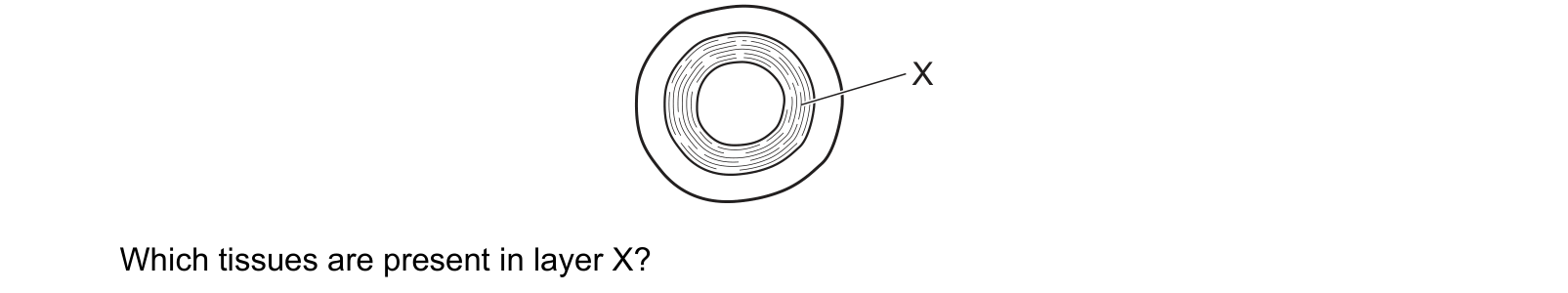 Diagram from the Cambridge Biology 9700 Paper 1 May/June 2022 paper, variant 1, question 30.