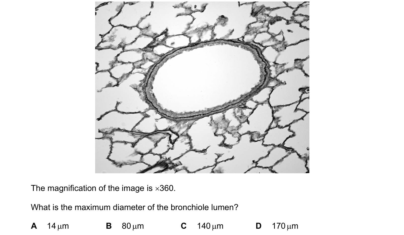 Diagram from the Cambridge Biology 9700 Paper 1 May/June 2022 paper, variant 2, question 1.