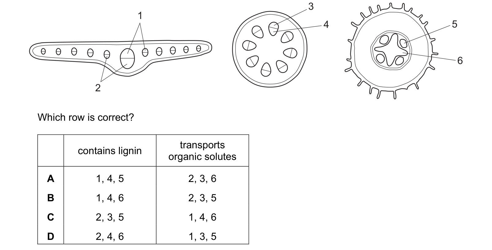 Diagram from the Cambridge Biology 9700 Paper 1 May/June 2022 paper, variant 2, question 25.