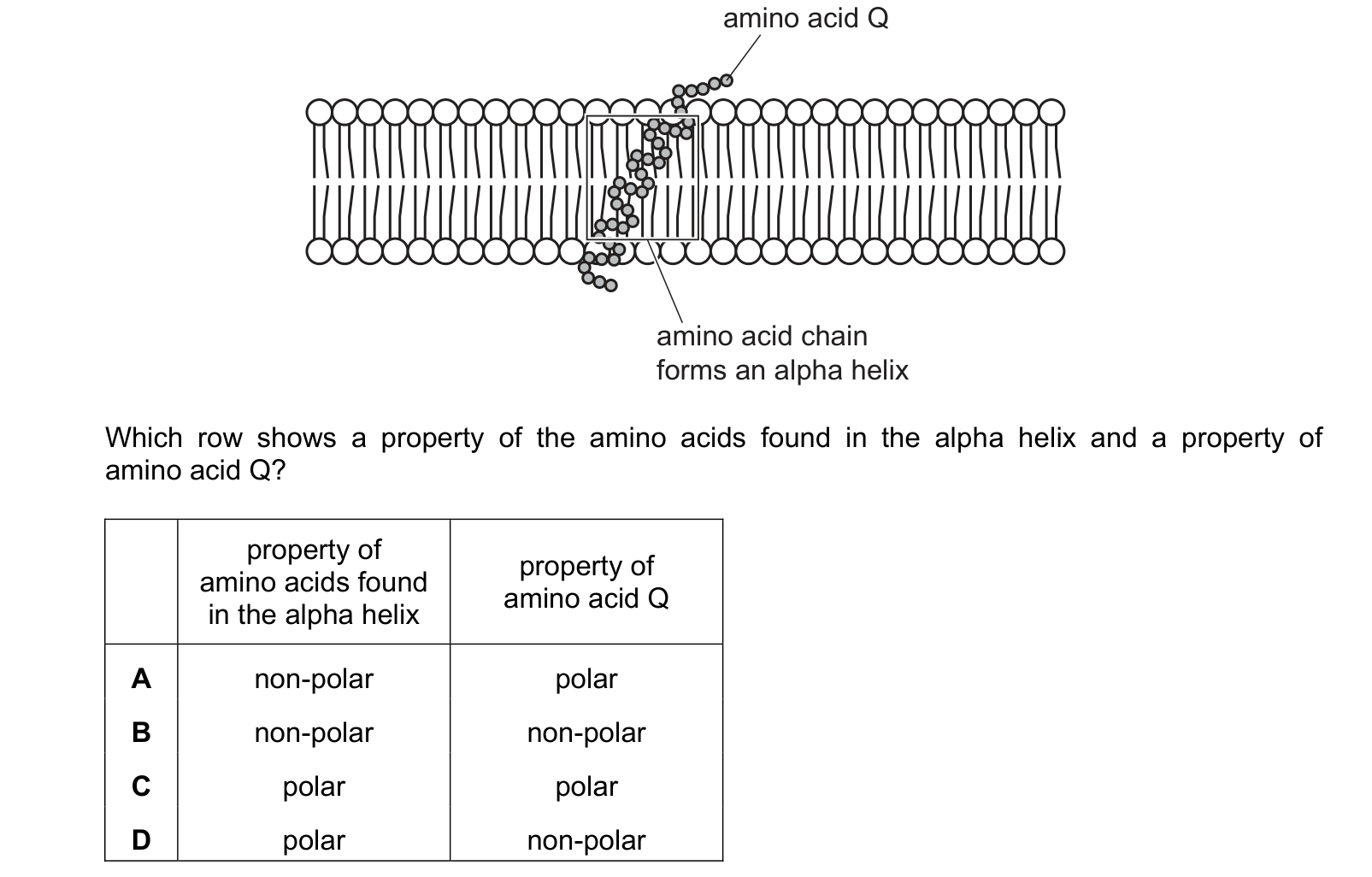Diagram from the Cambridge Biology 9700 Paper 1 May/June 2022 paper, variant 3, question 17.