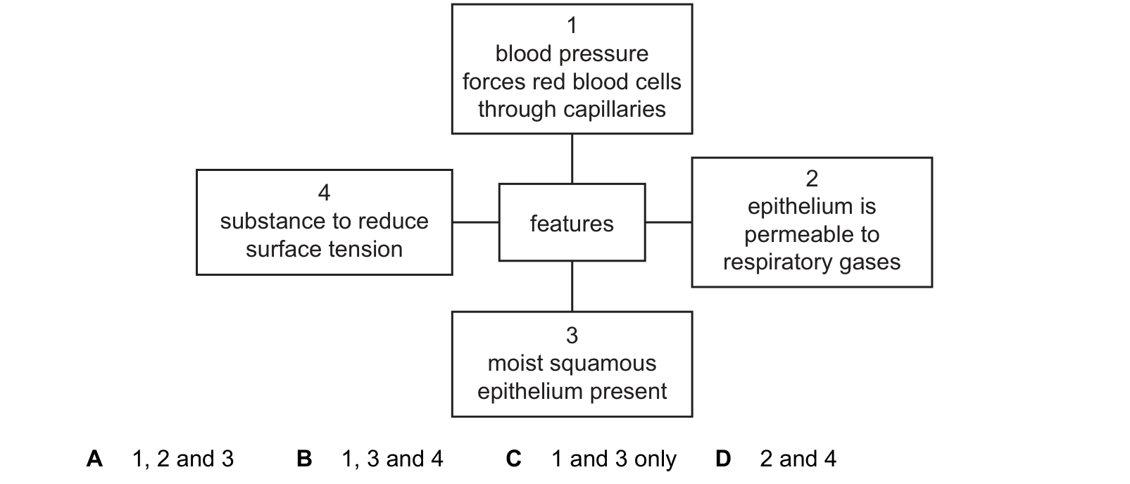 Diagram from the Cambridge Biology 9700 Paper 1 May/June 2022 paper, variant 3, question 35.