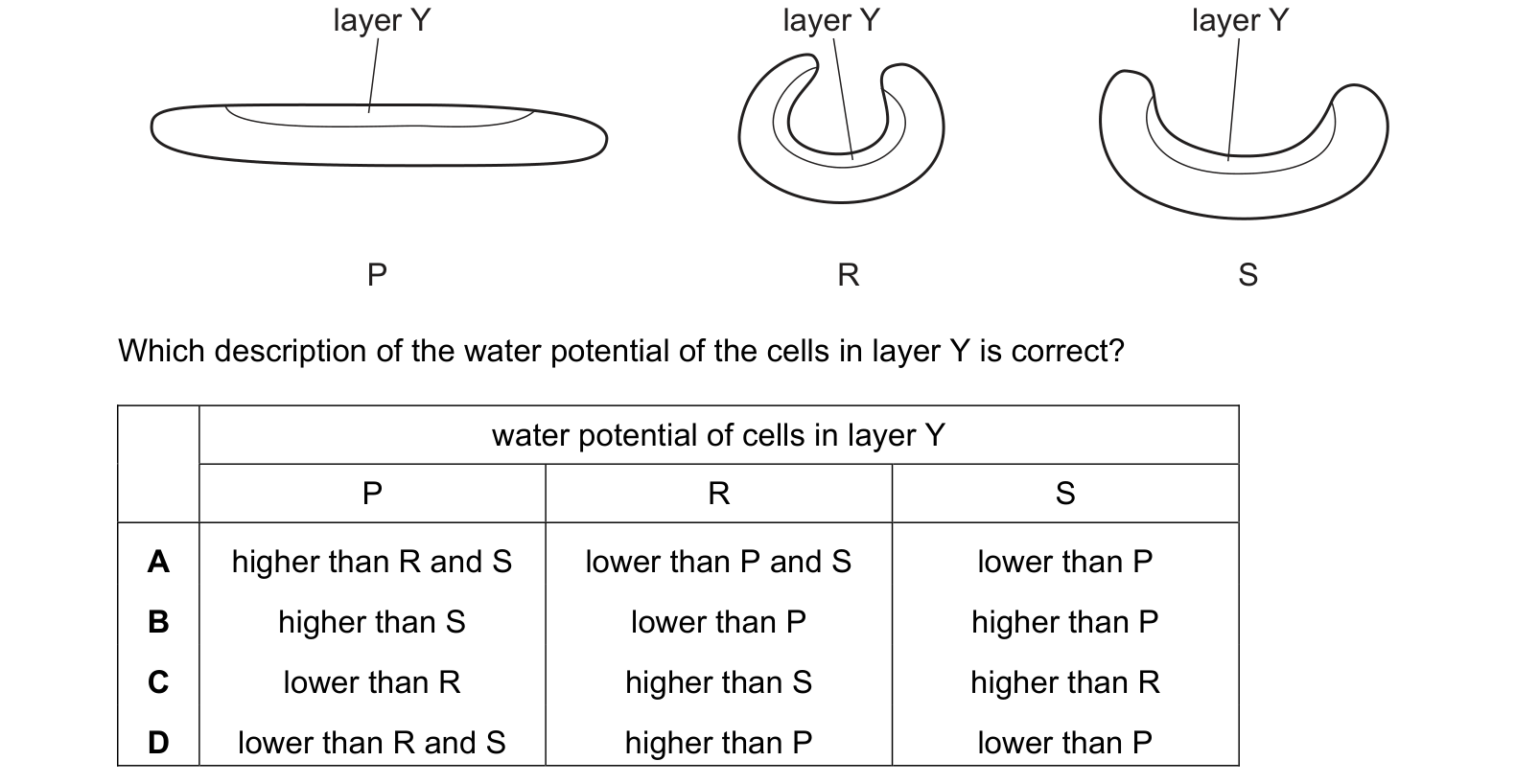 Diagram from the Cambridge Biology 9700 Paper 1 May/June 2023 paper, variant 2, question 29.