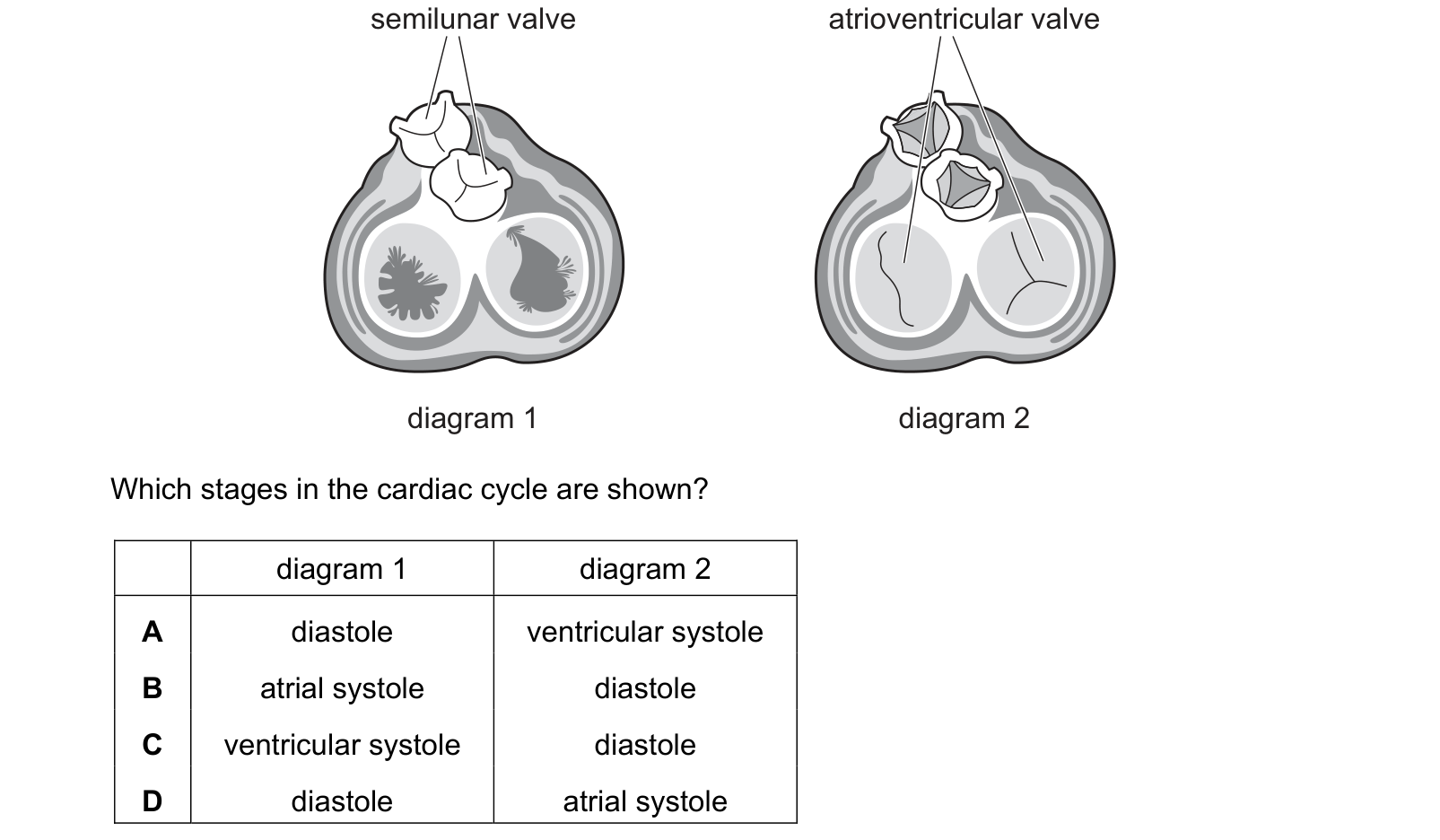 Diagram from the Cambridge Biology 9700 Paper 1 May/June 2023 paper, variant 2, question 34.