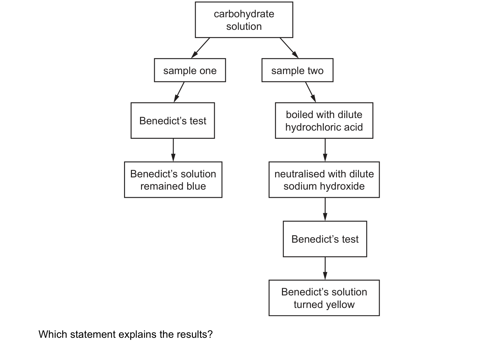 Diagram from the Cambridge Biology 9700 Paper 1 May/June 2023 paper, variant 2, question 8.