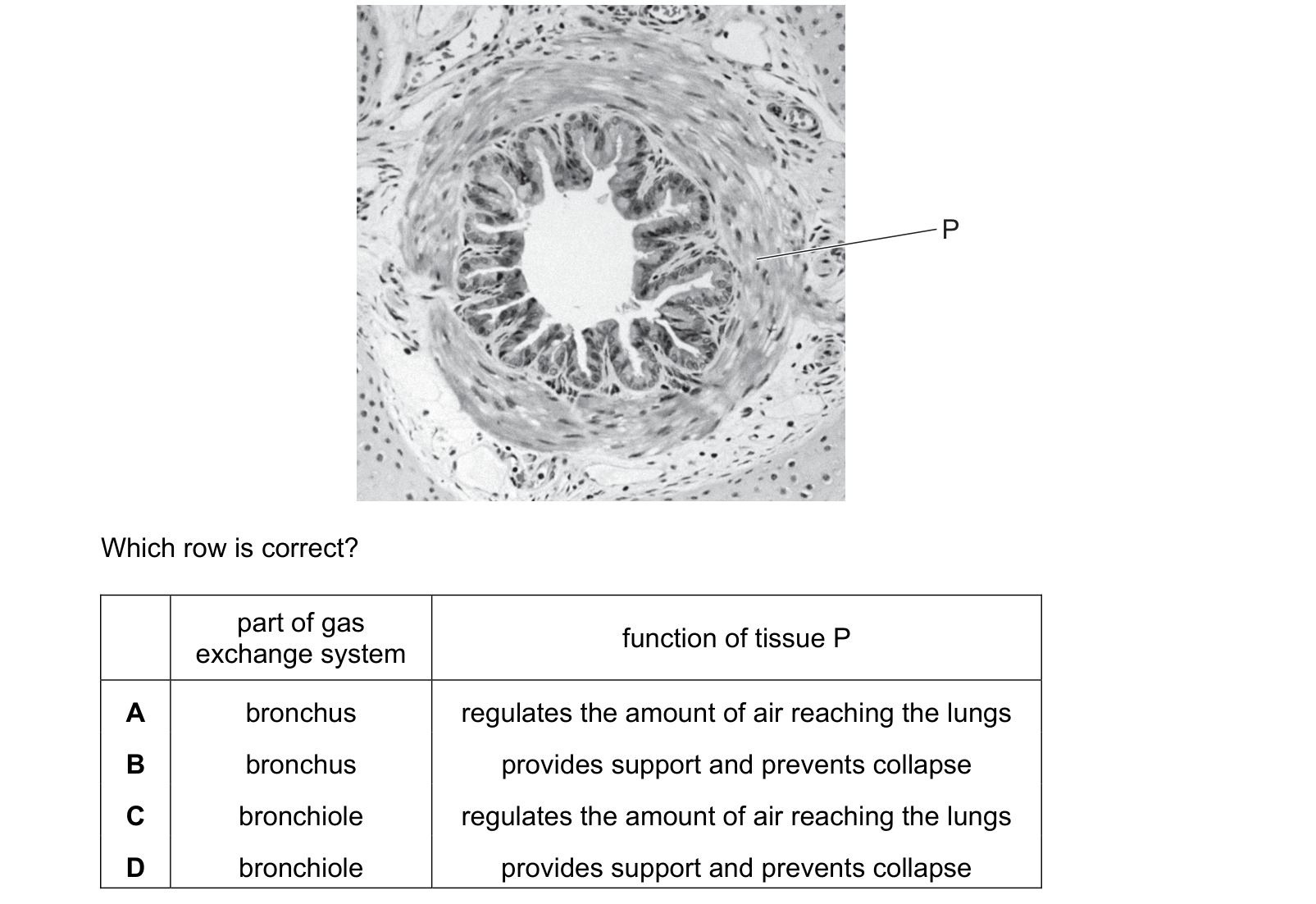 Diagram from the Cambridge Biology 9700 Paper 1 May/June 2023 paper, variant 3, question 37.