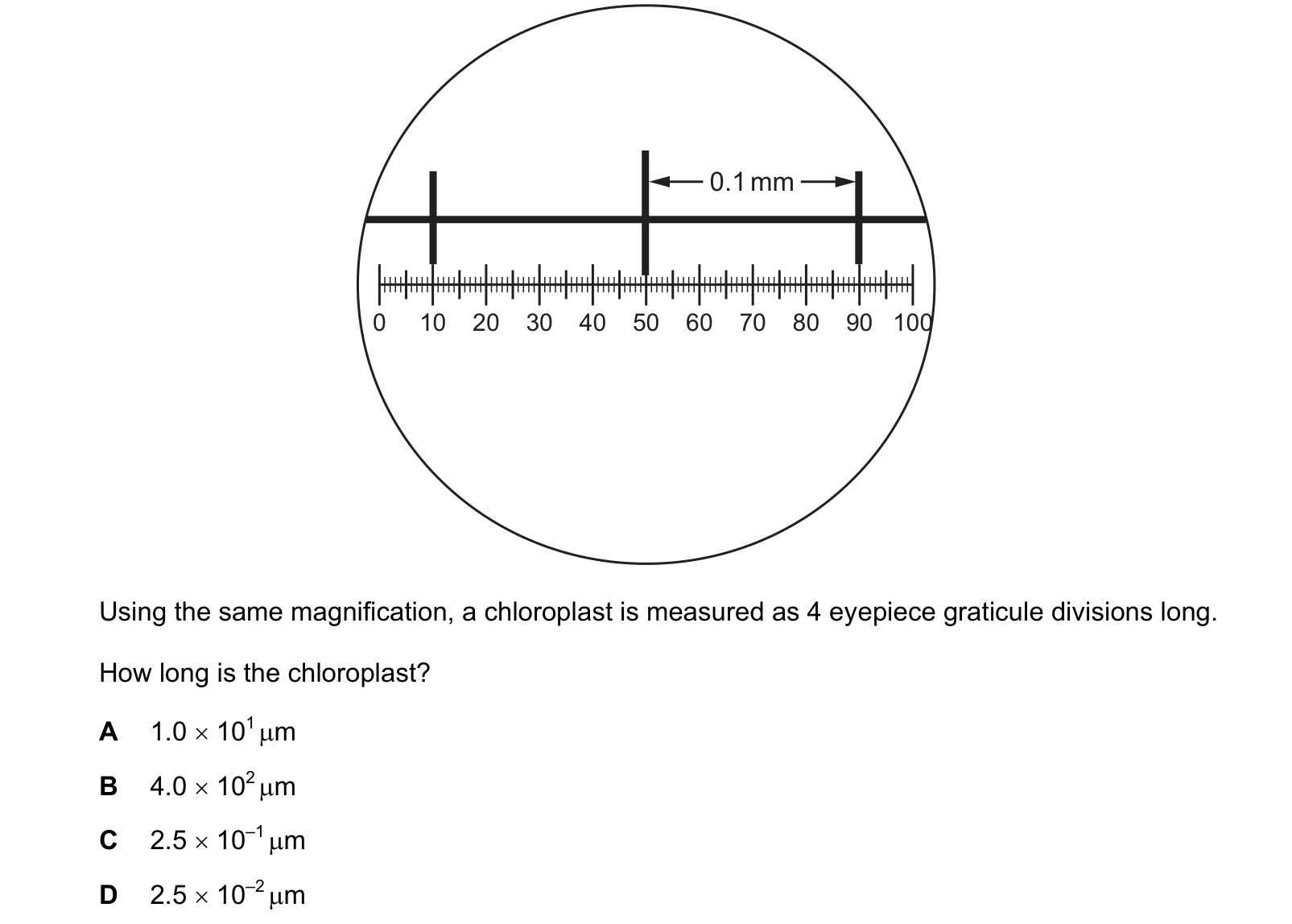 Diagram from the Cambridge Biology 9700 Paper 1 May/June 2024 paper, variant 1, question 1.