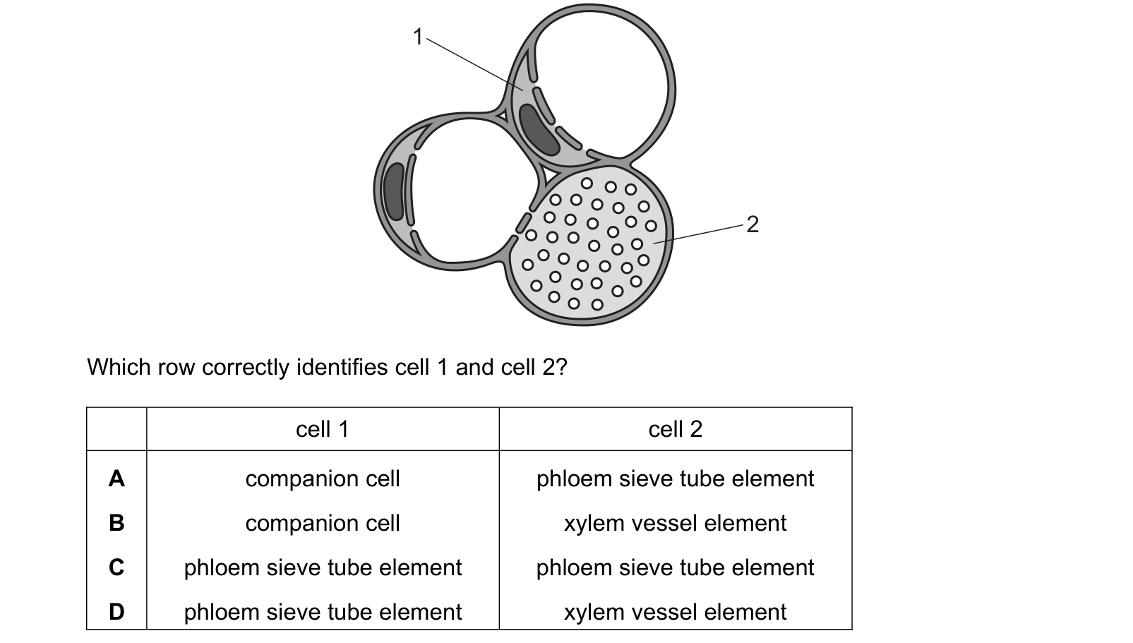 Diagram from the Cambridge Biology 9700 Paper 1 May/June 2024 paper, variant 2, question 25.