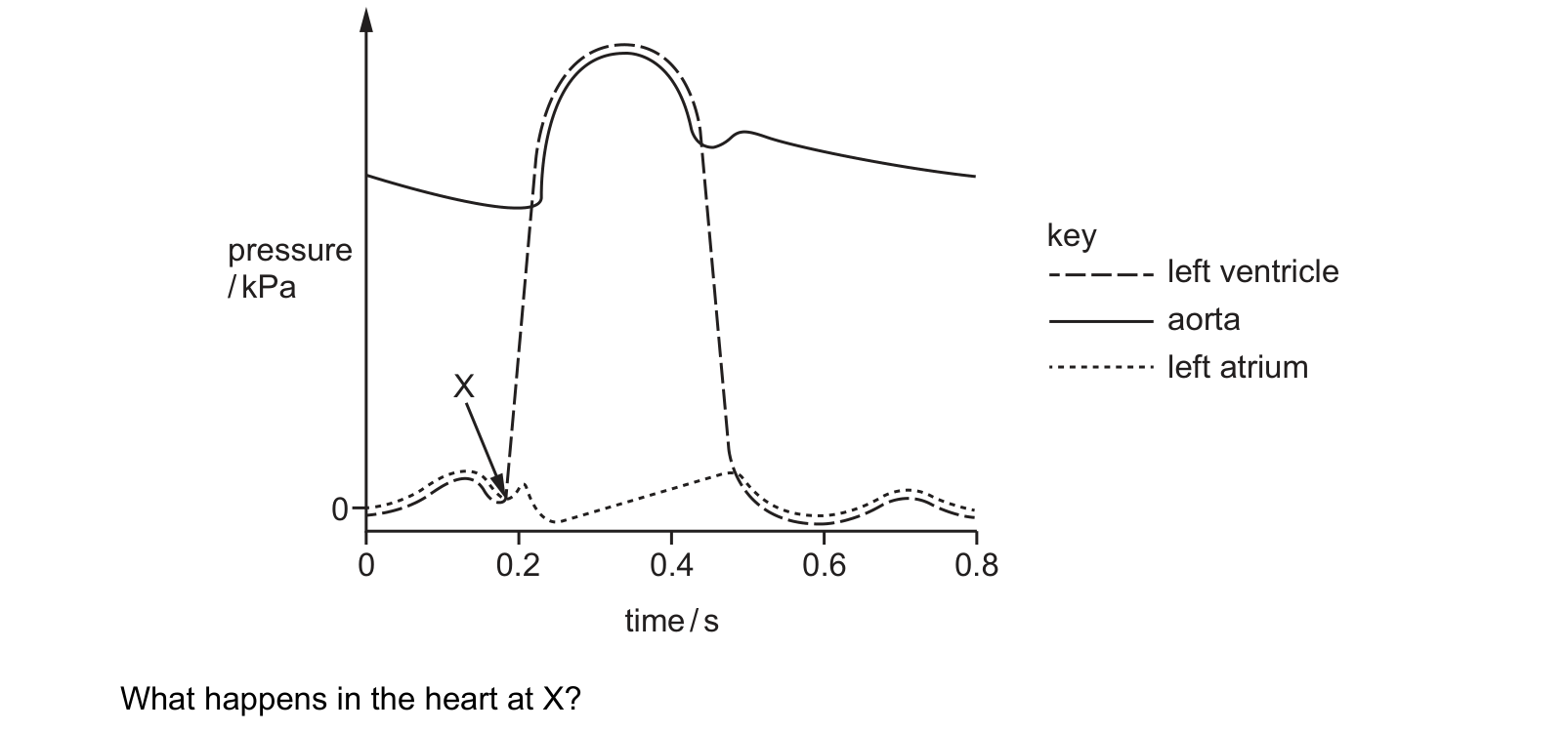 Diagram from the Cambridge Biology 9700 Paper 1 May/June 2024 paper, variant 2, question 29.