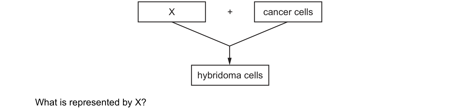 Diagram from the Cambridge Biology 9700 Paper 1 May/June 2024 paper, variant 2, question 40.