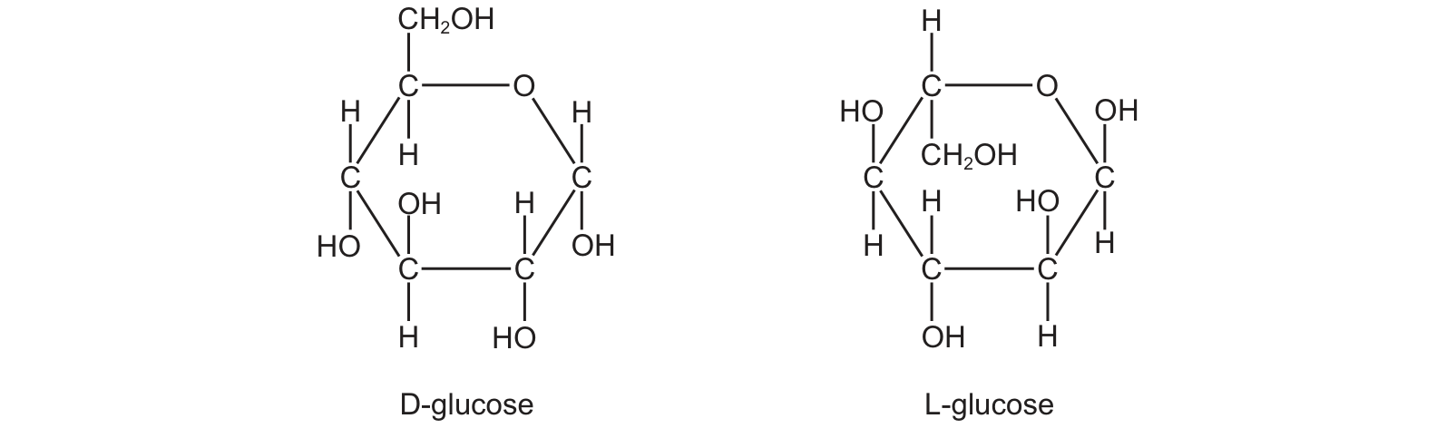 Diagram from the Cambridge Biology 9700 Paper 1 May/June 2024 paper, variant 2, question 8.