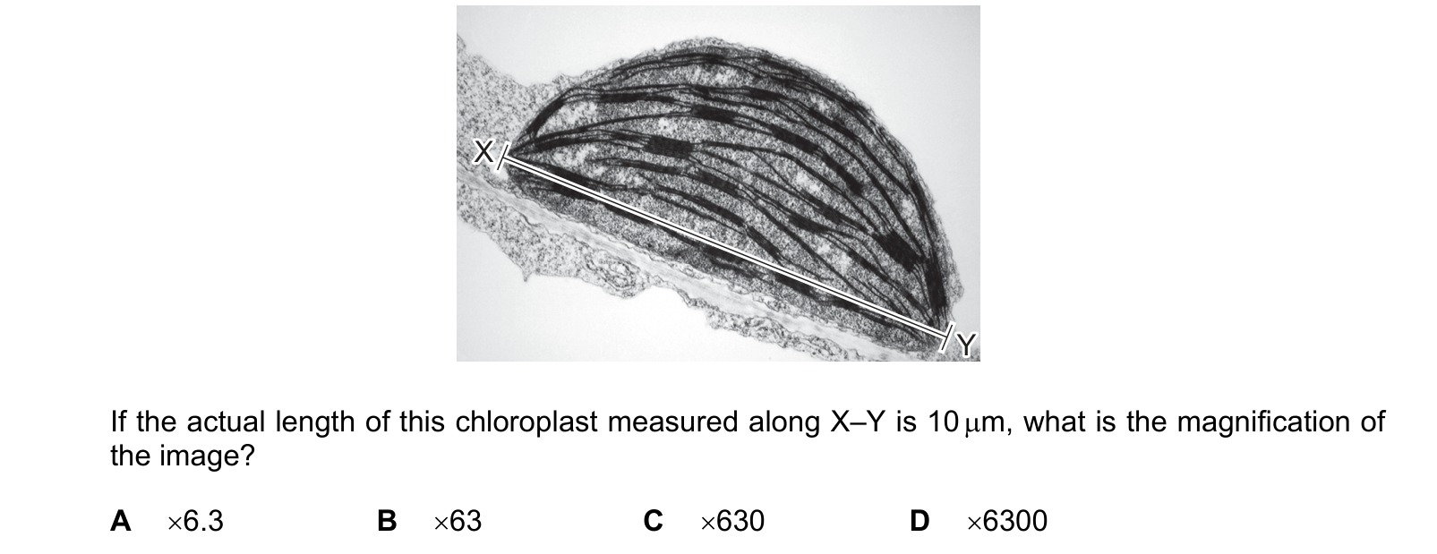 Diagram from the Cambridge Biology 9700 Paper 1 October/November 2022 paper, variant 3, question 1.