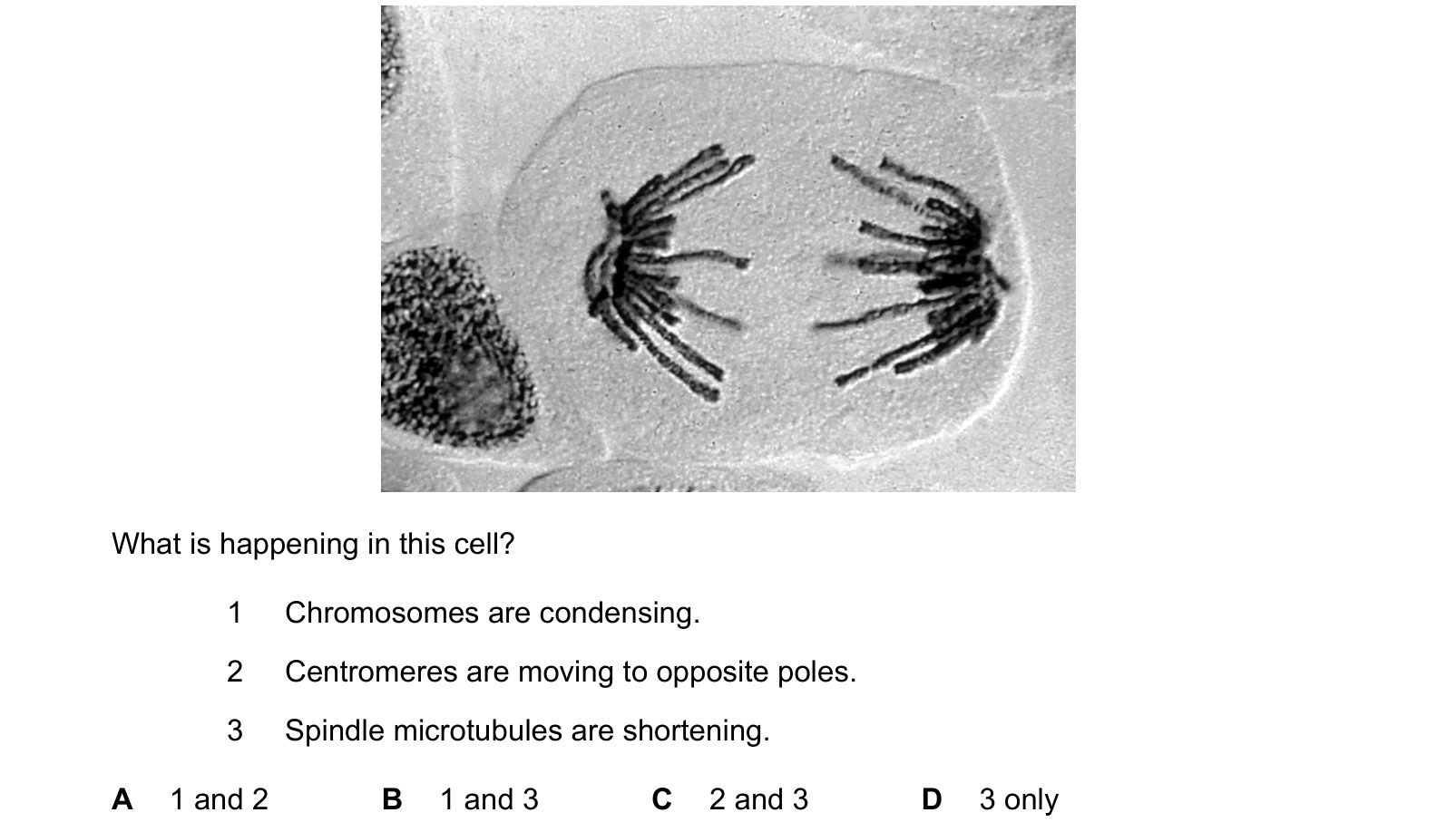 Diagram from the Cambridge Biology 9700 Paper 1 October/November 2023 paper, variant 1, question 21.