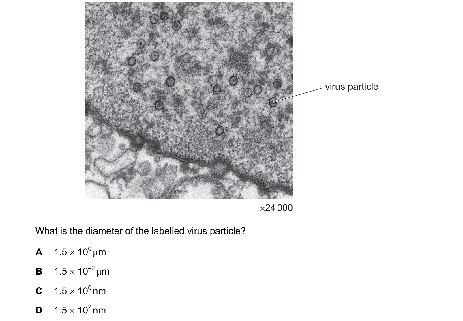 Diagram from the Cambridge Biology 9700 Paper 1 October/November 2023 paper, variant 2, question 2.