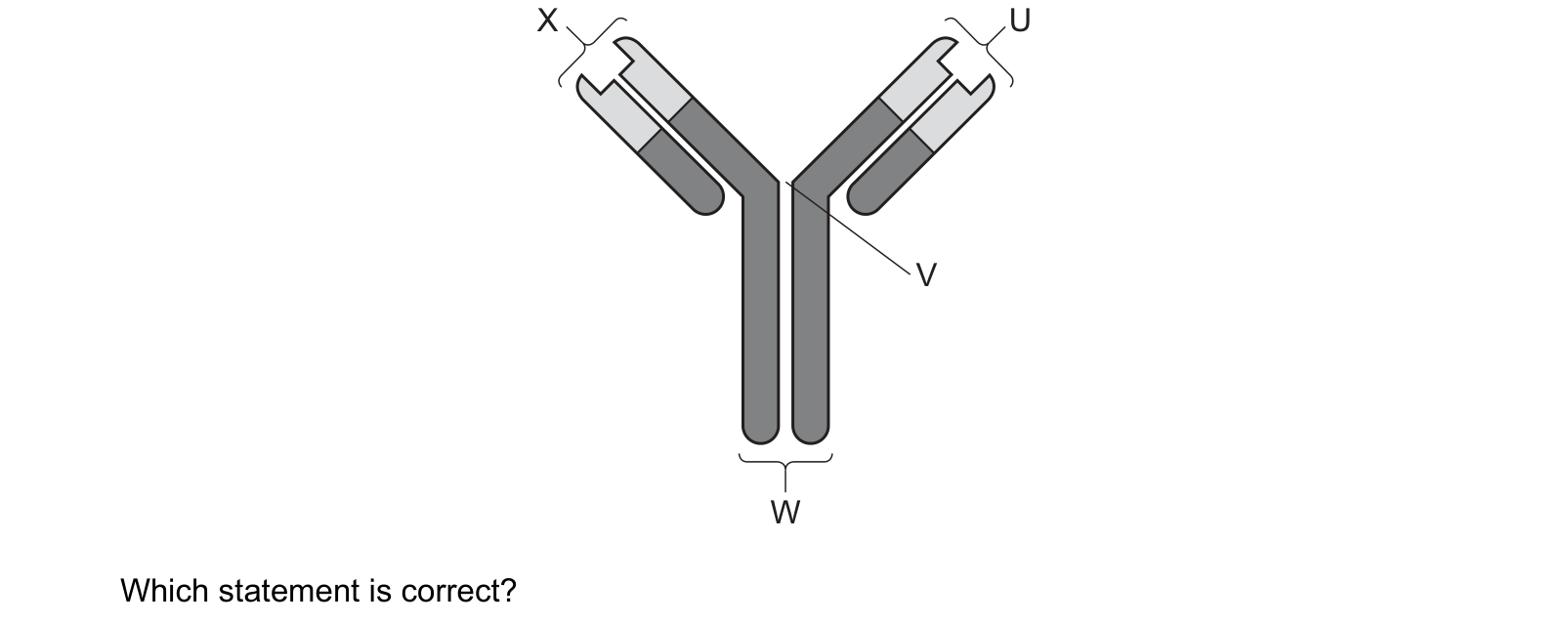 Diagram from the Cambridge Biology 9700 Paper 1 October/November 2023 paper, variant 2, question 40.