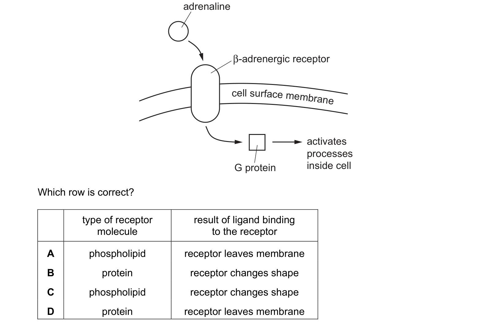 Diagram from the Cambridge Biology 9700 Paper 1 October/November 2023 paper, variant 3, question 17.