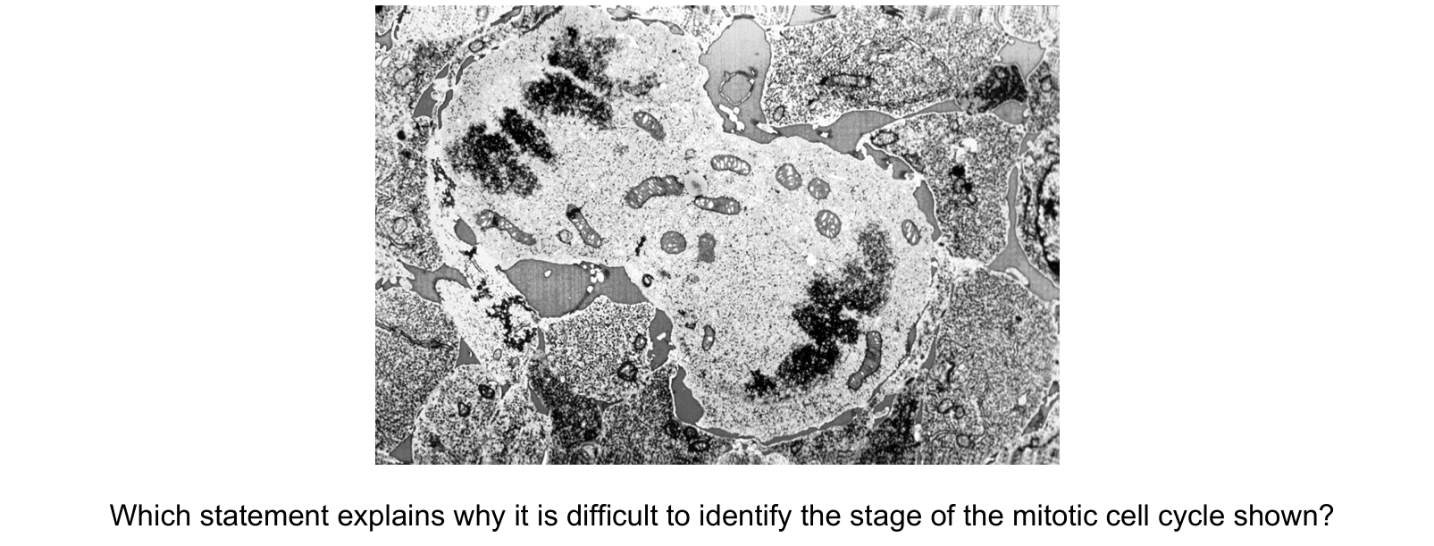 Diagram from the Cambridge Biology 9700 Paper 1 October/November 2023 paper, variant 3, question 21.
