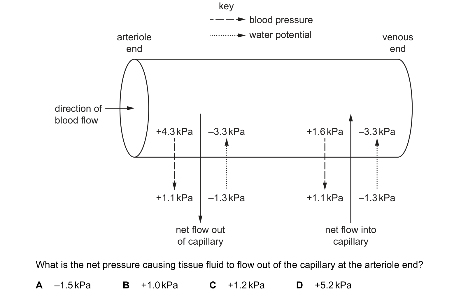 Diagram from the Cambridge Biology 9700 Paper 1 October/November 2023 paper, variant 3, question 31.