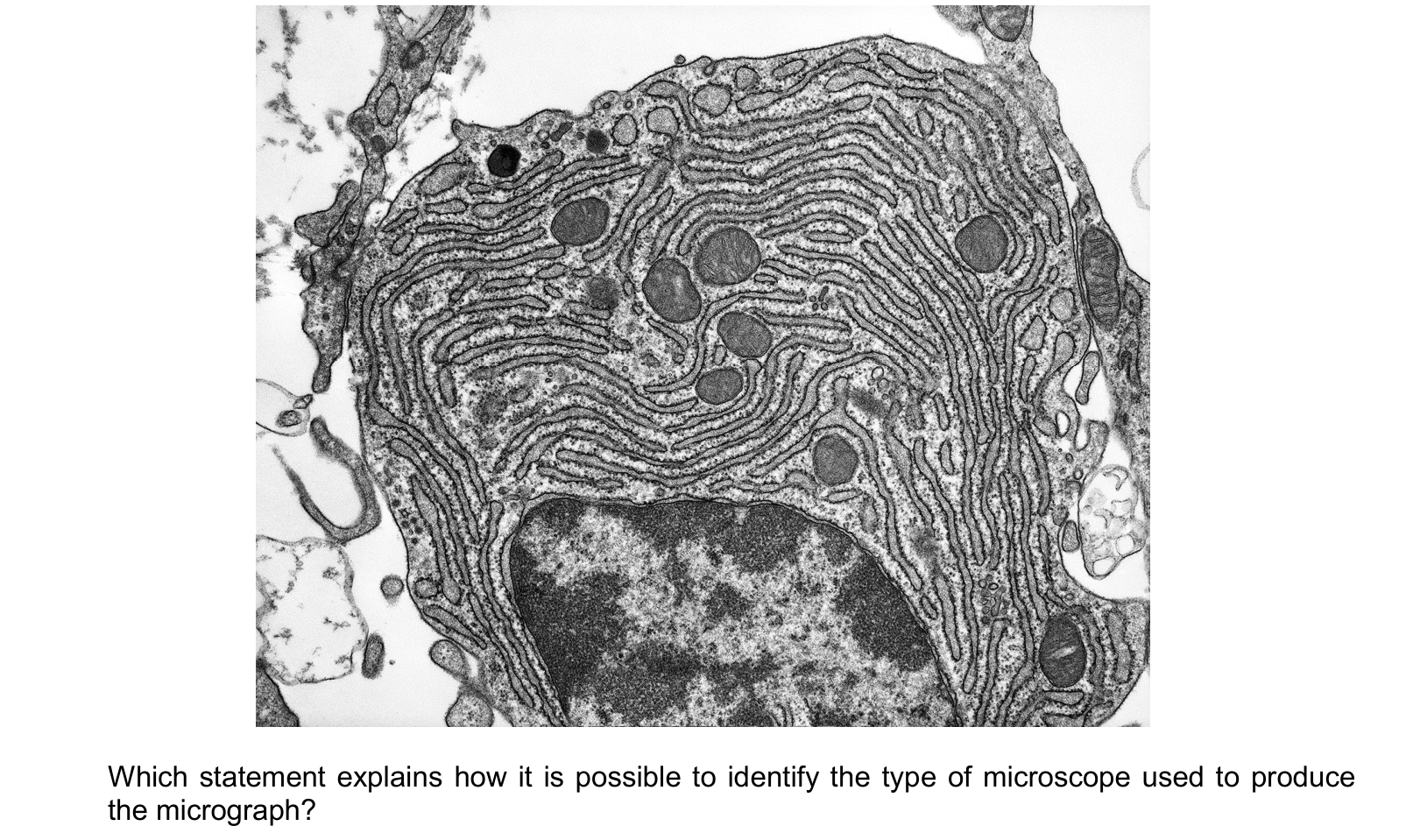 Diagram from the Cambridge Biology 9700 Paper 1 October/November 2024 paper, variant 2, question 2.