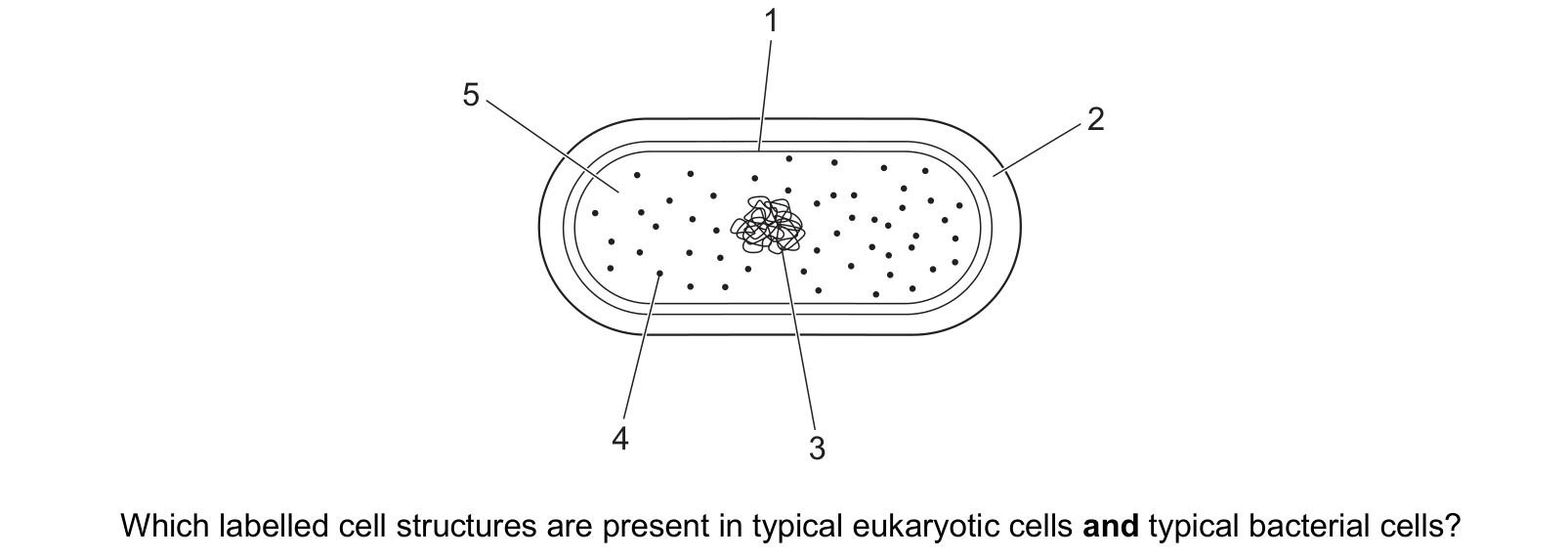 Diagram from the Cambridge Biology 9700 Paper 1 October/November 2024 paper, variant 2, question 5.