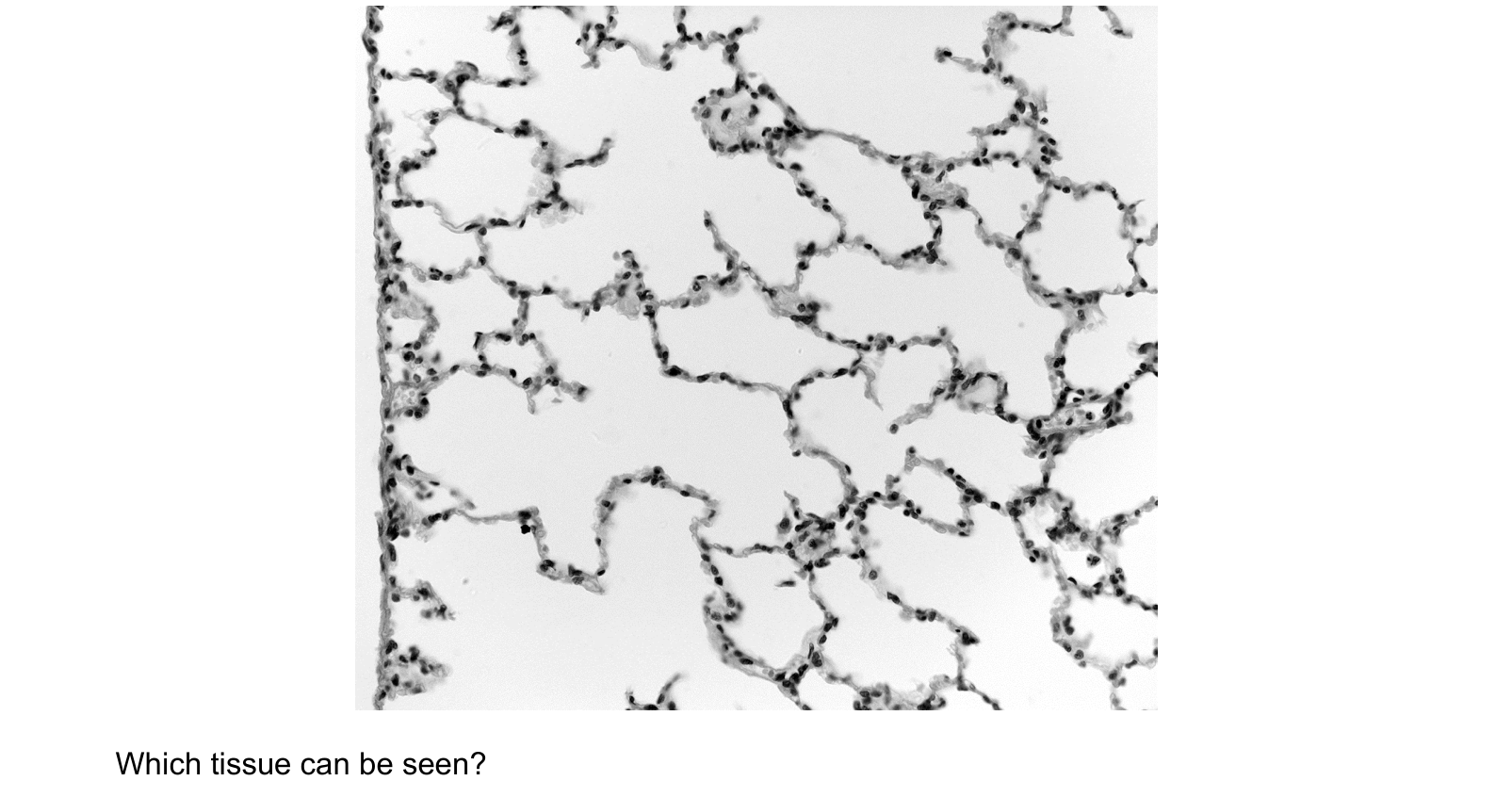 Diagram from the Cambridge Biology 9700 Paper 1 October/November 2024 paper, variant 3, question 35.